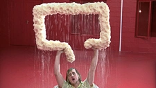 36.6 - Sponge - 30